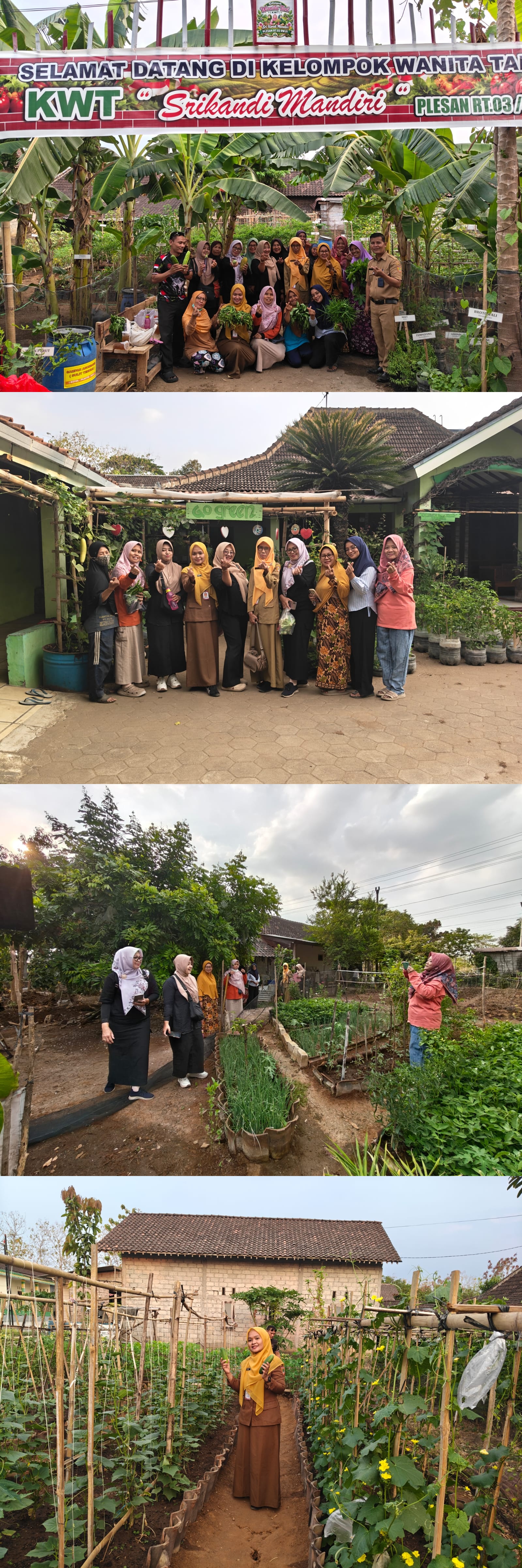 MONITORING AKU HATINYA PKK DI KWT SRIKANDI MANDIRI DK. PLESAN